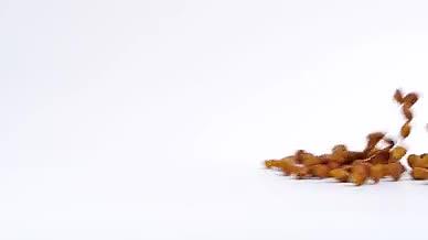 升格松子零食坚果海松子松实视频的预览图
